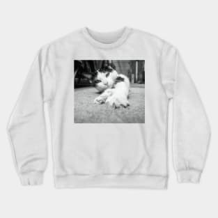 Will you play with me? Crewneck Sweatshirt